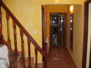 VANZARE VILA P+DM,   Valea Budului