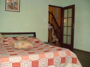 VANZARE VILA P+DM,   Valea Budului