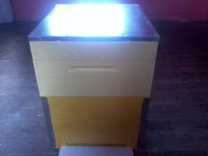 Vand 120 Lazi noi de stup