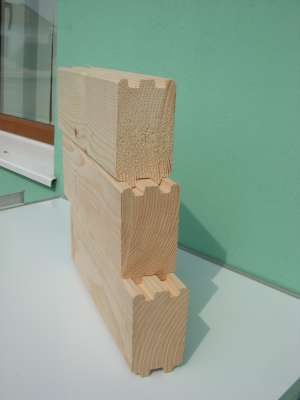 Construim case cu structura din lemn