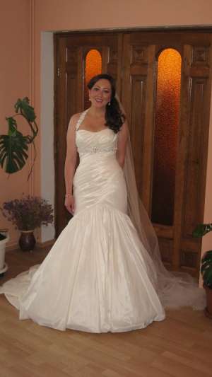 ROCHIE DE MIREASA SIBIU
