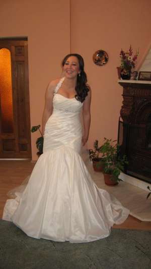 ROCHIE DE MIREASA SIBIU