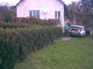 vand casa 48 ari de curte si gradina