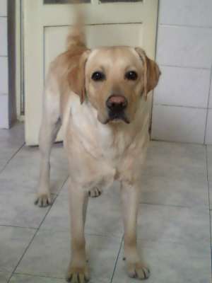 Caut Partenera!!!