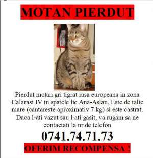 PIERDUT MOTAN