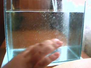 vand acvarii pina in 50l cu silicon negru si transparent