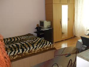 Vand GARSONIERA EXERCITIU