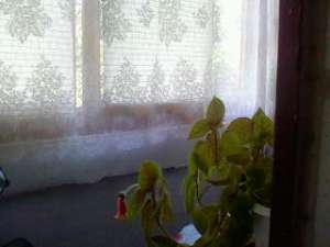 VIND APARTAMENT 2 CAMERE ,   44mp,   zona DARMANESTI