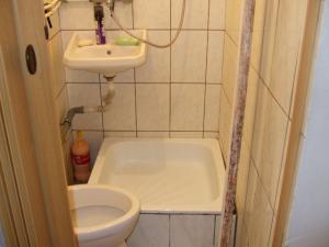 Vand GARSONIERA EXERCITIU