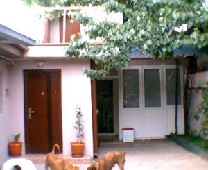 vand casa colentina planorama