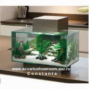 Vand . Cumpar . Redecorez . Acvariu . Terariu . Accesorii .  Ornament . Comanda . Servis,   Tratamen
