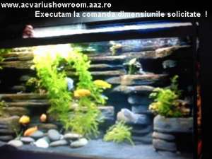 Vand . Cumpar . Redecorez . Acvariu . Terariu . Accesorii .  Ornament . Comanda . Servis,   Tratamen