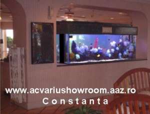 Vand . Cumpar . Redecorez . Acvariu . Terariu . Accesorii .  Ornament . Comanda . Servis,   Tratamen