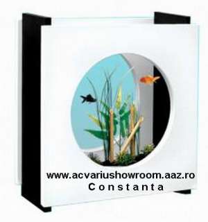 Vand . Cumpar . Redecorez . Acvariu . Terariu . Accesorii .  Ornament . Comanda . Servis,   Tratamen
