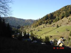 Cabana Lunca Bradului,  Salard,  Jarca