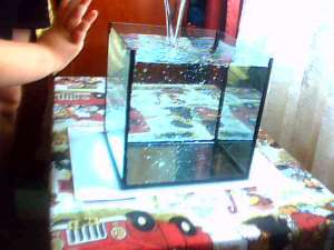 vand acvarii pana in 50l cu silicon negru si silicon transparent