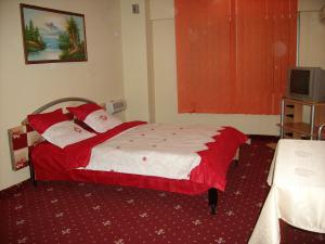 Inchirieri  apartament in Timisoara  Vila Dragan