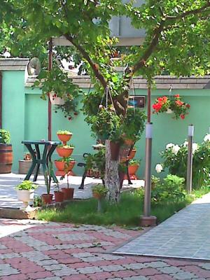 Inchirieri  apartament in Timisoara  Vila Dragan