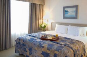 Inchirieri  apartament in Timisoara  Vila Dragan