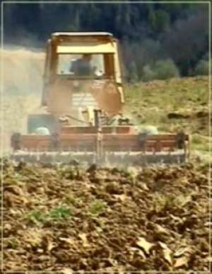PRET TAIAT SI DEFRISAT COPACI,   ARBORI,         POMI