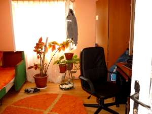Vanzare casa 6 camere in Ploiesti Bereasca