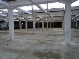 INCHIRIERE SPATIU COMERCIAL 4200 MP LA INTRARE IN ORASUL PUCIOASA