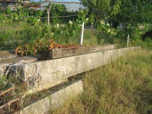 Vand stalpi din beton armat