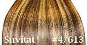Extensii .din par. natural cu .microring 2 ron