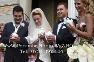 Porumbei Nunta Constanta