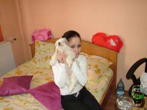 bichon havanez alb *****n