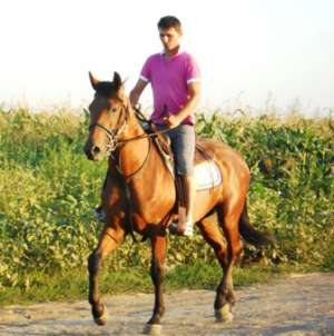 CAL DE VANZARE