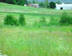 vand teren 26000 mp statiunea MIERCUREA CIUC