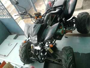 vind atv bashan 200 cc