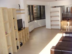central lux apartment rent