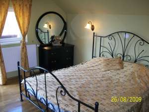 Vila P+E Timisoara
