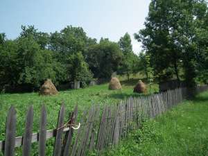 Vand teren intravilan. URGENT!