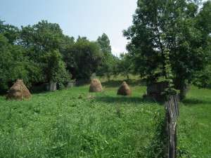 Vand teren intravilan. URGENT!