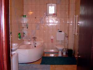 VAND/SCHIMB VILA P+1