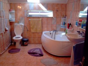 VAND/SCHIMB VILA P+1