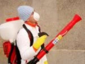 Firma autorizata executa lucrari Dezinsectie Dezinfectie Deratizare