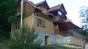 vanzare casa de vacanta loc. OCOLIS