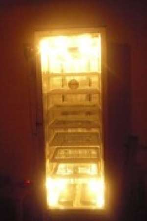 incubator prepelite