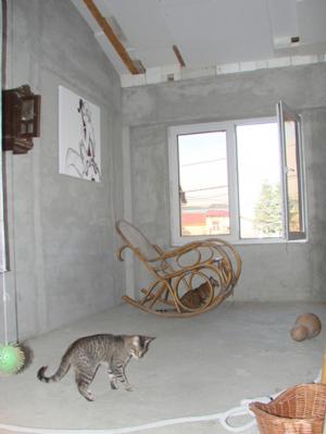 Casa,     p+m,     Bucuresti,     23august,     4cam+terasa,     112m su,     72,    6m amp,     207