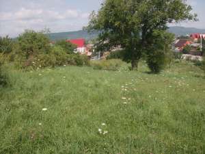 Vand terenuri in Mioveni,  Clucereasa si Racovita