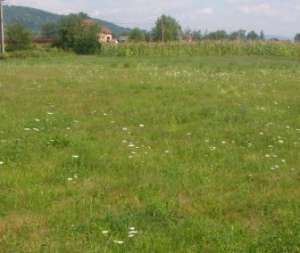 Vand terenuri in Mioveni,  Clucereasa si Racovita