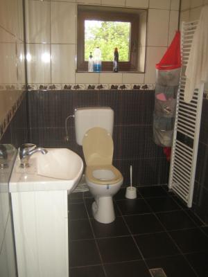 Particular vand / schimb vila P+1+pod Branesti