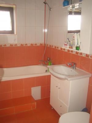 Particular vand / schimb vila P+1+pod Branesti