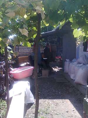 Vand casa in comuna Trifesti,  judetul Neamt