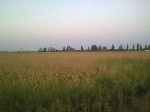 50000 Euro Comision