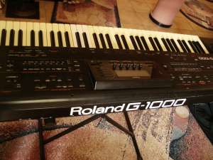 Roland G1000 + husa + stativ!